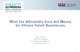 What the Affordable Care Act Means for Illinois Small Businesses