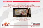 MSL Web Identity Presentation F12