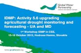 IDMP CEE Activity 5.6 by Anna Tsvietkova and Dumitru Drumea