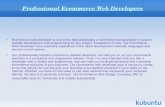 Ecommerce Web developers