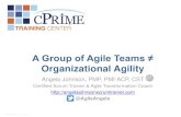 A Group of Agile Teams ≠ Organizational Agility