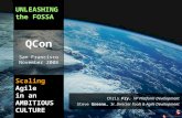 Q Con 2008 - Unleashing the Fossa