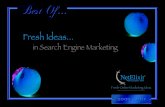 NetElixir's SEM Fresh Ideas 2012