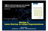 101 Design Ingredients: A Recipe For Lean Startup In Large Organisations