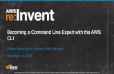 The Best of Both Worlds: Implementing Hybrid IT with AWS (ENT218) | AWS re:Invent 2013