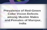 Prevalence of red green color vision defects