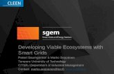 Developing Viable Ecosystems with Smart Grids