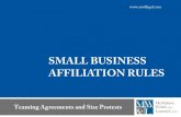 Small Business Affiliation Rules