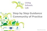 LSL: Step by step guidance general overview_december 2013