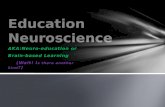 Education neuroscience