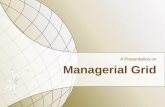 Managerial grid (A group Presentaion on Organization Development)