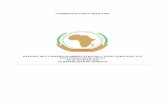 Rapport de la Mission d’Observation de l’Union Africaine : Djibouti 2013