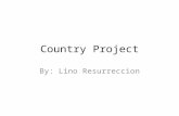 Lino history project