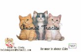 Animal Tracks 03 24 09