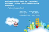 Opportunities Ahead for Consulting Partners: Grow Your Salesforce.com Business