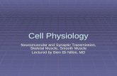 Cell Physiology: Synaptic Transmission