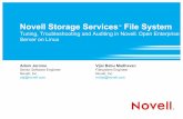 NSS File System Performance, Clustering and Auditing in Novell Open Enterprise Server on Linux
