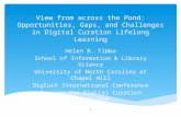 View from across the Pond: Opportunities, Gaps, and Challenges in Digital Curation Lifelong Learning