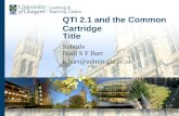 QTI 2.1 and Common Cartridge