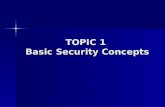 Basic Security Chapter 1