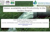 Water availability and Productivity in the Andes Region- long version