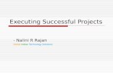 Executing  Successful  Projects