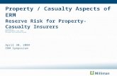 Property Casualty Aspects Of ERM - Blackburn
