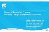Beyond Lean/ Six Sigma - Managing Change and Spreading Innovation