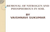 Removal of nitrogen and phosphorous in soil