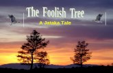 The Foolish Tree