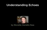 Understanding Echoes