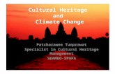 Cultural heritage and