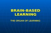 01. brain based-learning