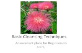 Basic cleansing techniques: a detox guiede for beginners