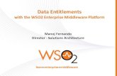 Data Entitlement with WSO2 Enterprise Middleware Platform