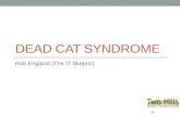 Dead cat syndrome: ITSM operational readiness