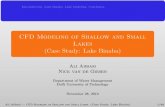 CFD Modeling of Shallow and Small Lakes (Case Study: Lake Binaba)