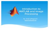 Matlab and Image Processing Workshop-SKERG