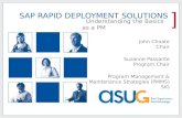 RDS - Understanding the SAP Basics of Rapid Deployment Solutions