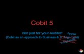 John Krogh - COBIT5 not just for your auditor