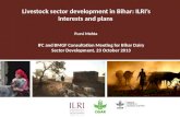 Livestock sector development in Bihar: ILRI’s interests and plans