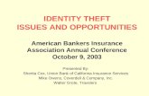 IDENTITY THEFT ISSUES AND OPPORTUNITIES