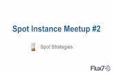 Spot instance virtual meetup #2