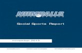 Numballs - Social Sports Report November 2013
