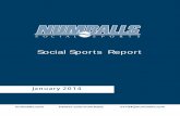Numballs - Social Sports Report January 2014