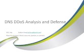 DNS DDoS Attack and Risk