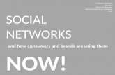 Social Networks: Advanced Social Media NYU Presentation