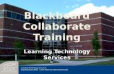 Blackboard Collaborate Training