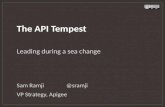 The API Tempest