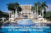 Honeymooners can pick any one of the hotels in hawaii